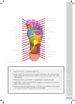 Preview for 8 page of Shiatsu Nekteck Manual