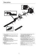 Preview for 16 page of Shindaiwa AHS236S-LW Operator'S Manual