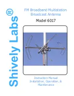 Preview for 1 page of Shively Labs 6017 Instruction Manual