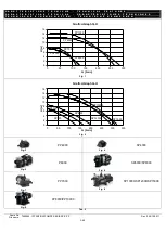 Предварительный просмотр 3 страницы Shott PP10000 Customer'S Manual