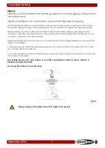 Предварительный просмотр 5 страницы SHOWTEC Festoonlight Q4 String Manual