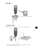 Предварительный просмотр 31 страницы Shure PG42 User Manual