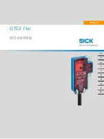 Preview for 78 page of SICK GTE2 Flat Operating Instruction