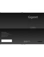 Siemens Gigaset C300H User Manual preview