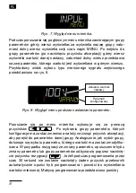 Preview for 8 page of Sifam Tinsley N32P User Manual & Quick Start