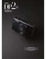 Preview for 1 page of Sigma DP2S Brochure & Specs