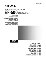 Preview for 1 page of Sigma ef-500 dg super pa Instructions Manual