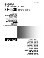 Sigma EF-530 Instructions Manual предпросмотр