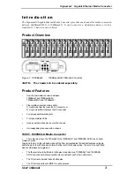 Предварительный просмотр 5 страницы SignaMax FO-065-1194 User Manual