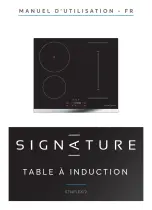 Signature 4894223227278 Instruction Manual preview