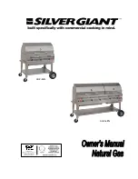 Preview for 1 page of SILVER GIANT SGC-36N Owner'S Manual