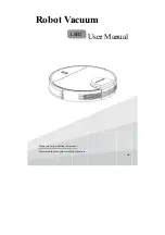 Предварительный просмотр 1 страницы Silver Star LSB2 User Manual