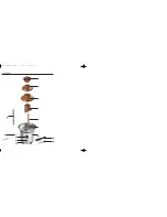 Предварительный просмотр 2 страницы Silvercrest CHOCOLATE FOUNTAIN SSB320A1 Operating Instructions Manual