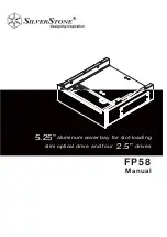 SilverStone FP58 Manual предпросмотр