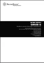 SilverStone GEMINI GM600-G Manual preview