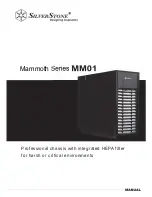 SilverStone Mammoth MM01 User Manual preview