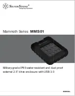 SilverStone MMS01 Manual предпросмотр