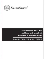 SilverStone TM01 User Manual preview