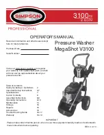 Simpson MEGASHOT V3100 Operator'S Manual preview