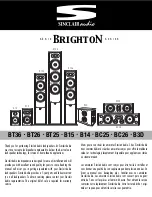 Sinclair Audio BrightoN Series Manual preview