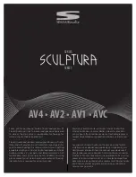 Sinclair Audio Sculptura AV4 User Manual preview