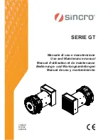 Sincro GT 2 LA Use And Maintenance Manual preview