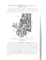 Preview for 18 page of Singer 1200-1 Adjusters Manual