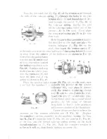 Preview for 55 page of Singer 1200-1 Adjusters Manual