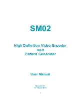 Singmai Electronics SM02 User Manual preview