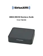 Sirius XM RAdio BREO/BREW User Manual preview