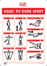 Sissel FIT-DOME SPORT Quick Start Manual preview