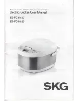 SKG EB-FC38-22 User Manual preview