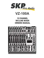 SKP Pro Audio VZ-100A Owner'S Manual preview