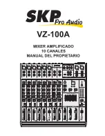 Preview for 16 page of SKP Pro Audio VZ-100A Owner'S Manual