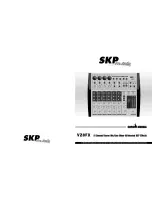 SKP Pro Audio VZ8FZ Owner'S Manual preview