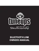 Skullcandy Portable Link User Manual предпросмотр