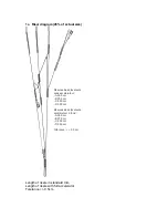 Preview for 4 page of SKY PARAGLIDERS ANTEA L User Manual