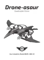 sky rider Drone-asaur DR397 v1903-01 User Manual preview