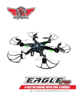 sky rider eagle pro series User Manual preview