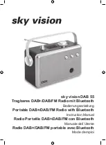 sky vision DAB 55 Instruction Manual preview