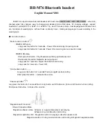 Sky Wing BH-M76 Manual preview