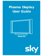 Sky PDS4250 User Manual preview