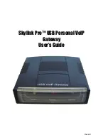 SkyLink Pro USB Personal VoIP Gateway User Manual предпросмотр