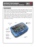 Skyrc SK-100079 Instruction Manual preview