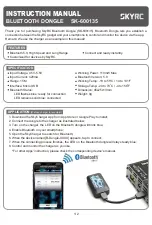 Skyrc SK-600135 Instruction Manual preview