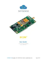 SKYSENSE BCON1 User Manual preview