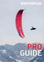 Skywalk SPICE2 Pro Manual preview