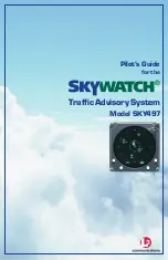 Предварительный просмотр 1 страницы Skywatch SKY497 Pilot'S Manual