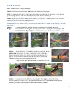 Preview for 2 page of Slackers SLA.475 Classic Slackline Manual