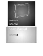 Small HD DP6-SDI User Manual предпросмотр